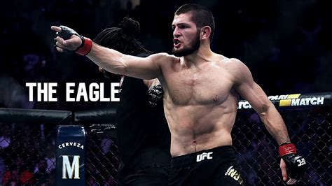 khabib knockout|khabib nurmagomedov highlights.